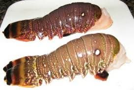 Warm Water Lobster Tails