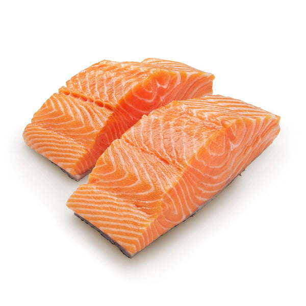 Wild King Salmon